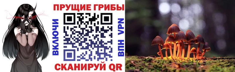 Псилоцибиновые грибы Magic Shrooms  Купить закладки  Изобильный 